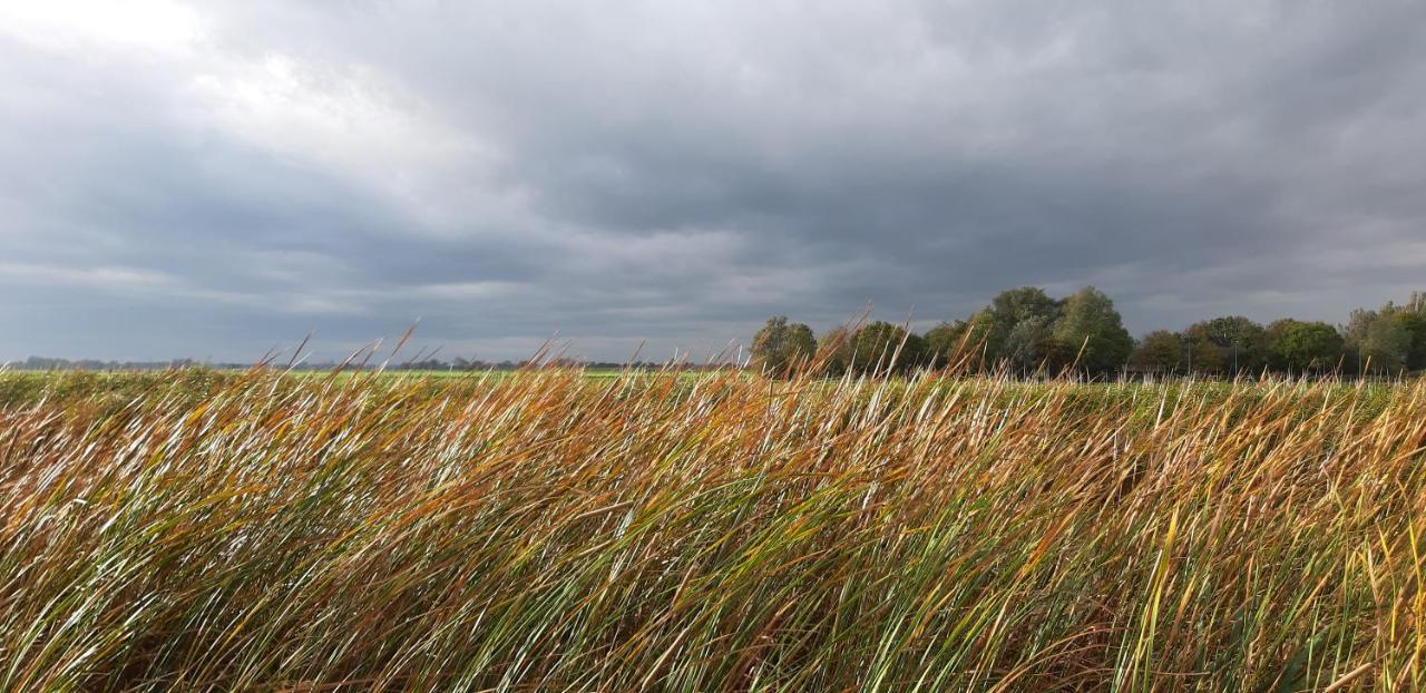 Tuinhuis Lutjewinkel Buitenkant foto