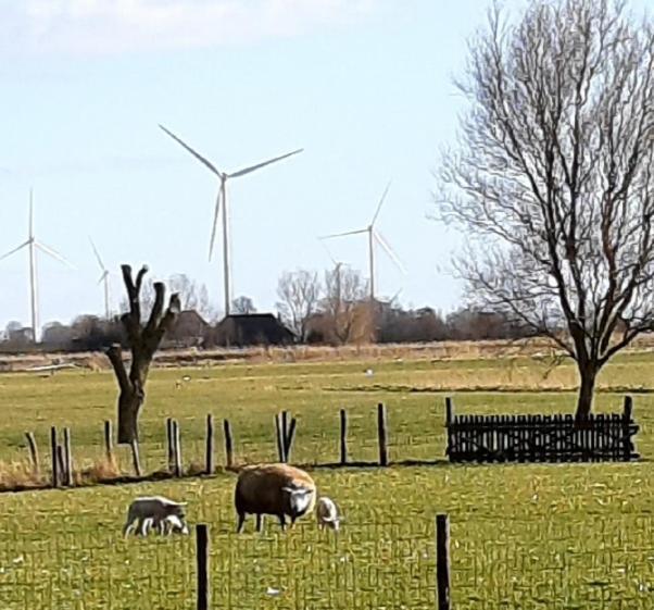 Tuinhuis Lutjewinkel Buitenkant foto