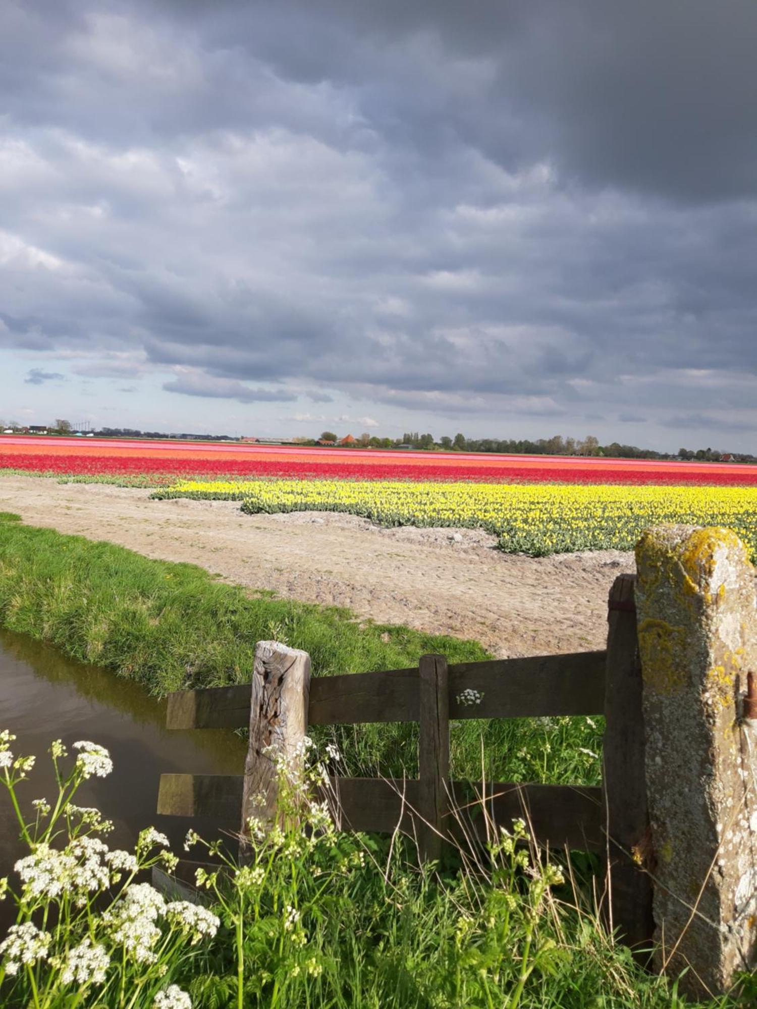 Tuinhuis Lutjewinkel Buitenkant foto