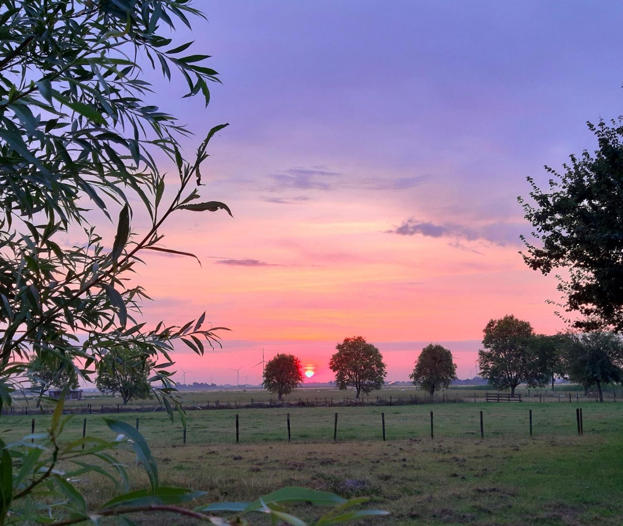Tuinhuis Lutjewinkel Buitenkant foto