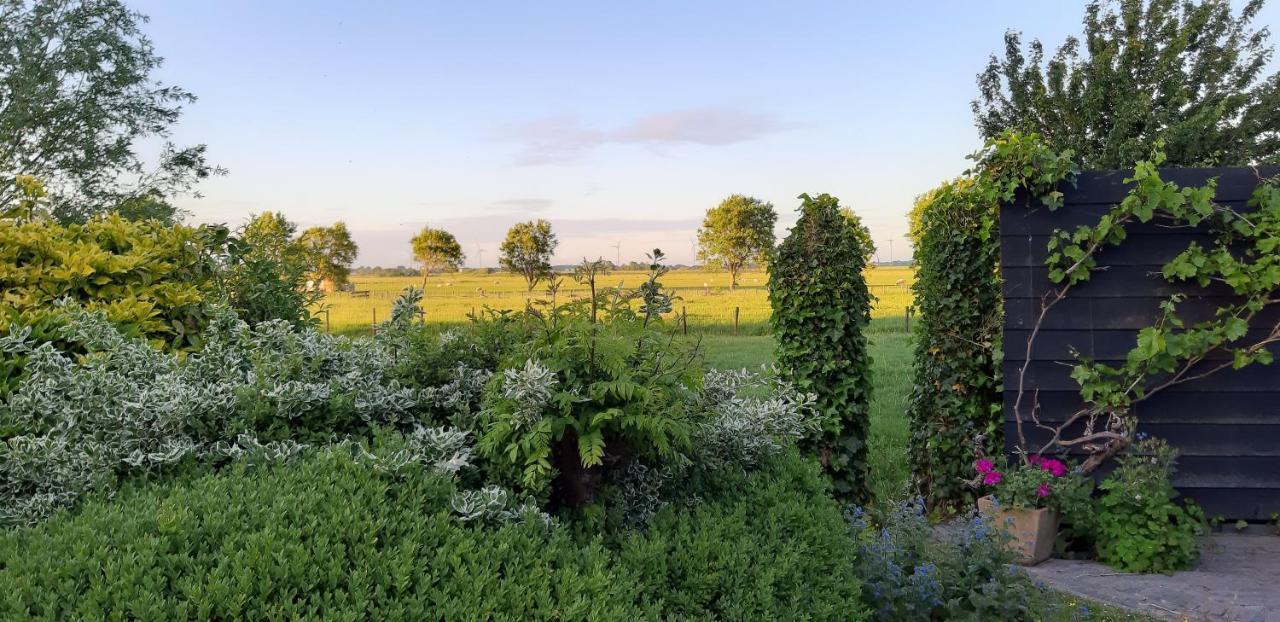 Tuinhuis Lutjewinkel Buitenkant foto